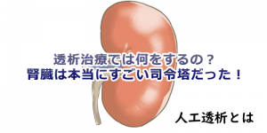 透析治療。腎臓は本当にすごい司令塔だった！