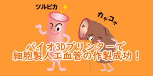 TOP：細胞製人工血管の作製に成功！